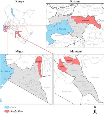 Exploration of gender dynamics in the production and marketing of forage technologies in Kenya